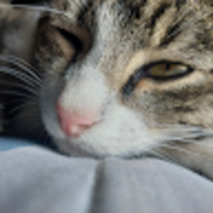 Meet your Posher, Victor